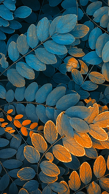 Nature's wonder, Serene landscape, Mesmerizing beauty, Tranquil ambiance HD phone wallpaper