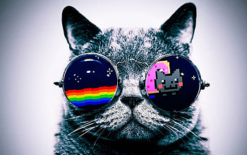 Hipster Cat background HD wallpaper