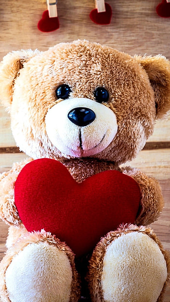 Teddy Wale, Love, Heart HD phone wallpaper