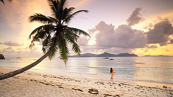 Sunset in Paradise, cloudy, palm, tropical, walking, beaches, setting, girl, beautiful, tree, nature, sunset HD wallpaper
