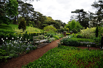 Garden Bench, bench, garden, flowers, spring, park HD wallpaper