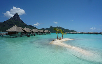 Nature, Palms, Bay, Bungalow, Huts, Hammock, Bora Bora HD wallpaper