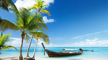 Beach getaway, Palm tree paradise, Secluded serenity, Nature's playground HD wallpaper