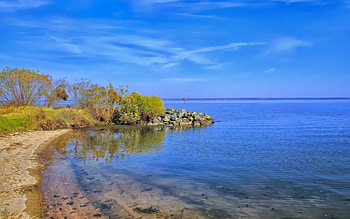 Beach Paradise, bushes, sky, stones, beach HD wallpaper