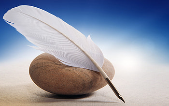 Note Feather Pen, feather, pen, nature HD wallpaper