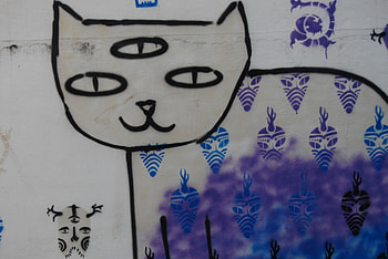 Cat Mural in Chiang Mai, thailand, mural, Cat, ChiangMai, beauty HD wallpaper