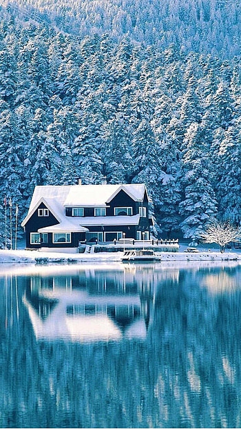 Winter, Blue Season HD phone wallpaper