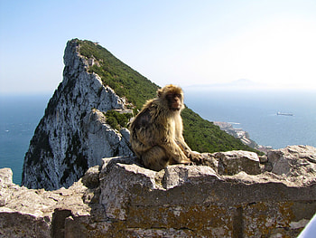Rock of Gibraltar, Gibraltar Spain, Best ideas, Travel HD wallpaper