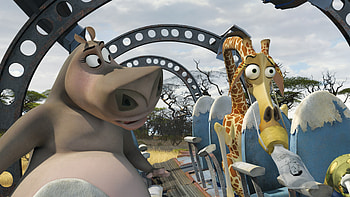 Melman and Gloria, Madagascar HD wallpaper
