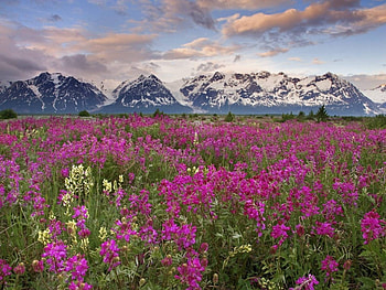 Landscape, Fields, Mountains HD wallpaper