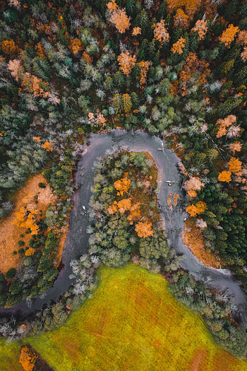 Nature, Rivers, Autumn, View From Above, Forest HD phone wallpaper