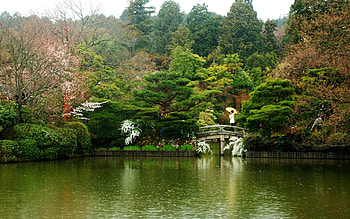 Nature, Rivers, Trees, Bridge, Stroll HD wallpaper