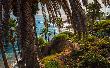 Laguna Beach, Ocean palms coast, California beauty, American charm HD wallpaper