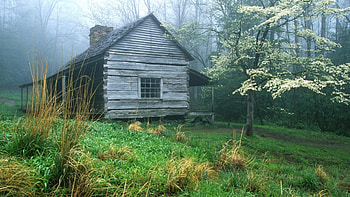 cabin in the smokey mountains, fog, forest, hill, cabin HD wallpaper