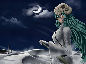 Bleach, Nell, moon, skull, desert, long hair HD wallpaper