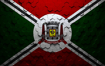 Flag of Criciuma, honeycomb art, Criciuma hexagons flag, Criciuma 3d hexagons art, Criciuma flag HD wallpaper