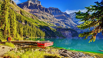 Yoho NP, mirror, boat, Canada, landscape, beautiful, rocks, mountain, lake, national park, reflection, yoho, cliffs, trees, forest HD wallpaper