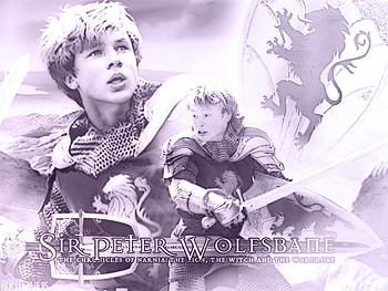 Chronicals of Narnia, peter, sword, king HD wallpaper