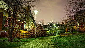 Street Light graphy, street, graphy, trees HD wallpaper