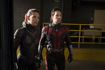 Ant-Man and the Wasp, 2018 movie HD wallpaper