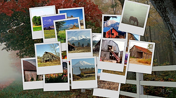Old Barns and Farms, barns, horse, ranch, stacked, , farm, country, collage HD wallpaper