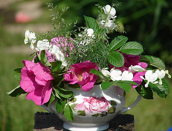 Cup with summer flowers, sunshine, white, roses, garden, floral, colors, cup, beauty, outdoor, summer, still life, pink, green, freshness, flowers HD wallpaper