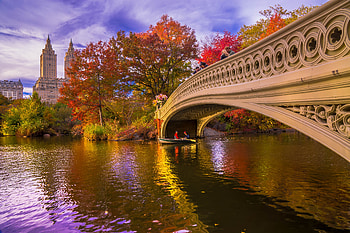 Bridge, , Central Park, Boat, City, Fall, New York, Pond, Usa HD wallpaper