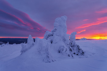 Winter's Silent Majesty: Stunning Snow-Covered Nature, snow, nature, winter HD wallpaper