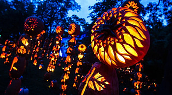 Halloween Art, pumpkins, artwork, light, ornaments HD wallpaper