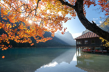Autumn Lake, Landscape, Mountains, Branches, Tree HD wallpaper