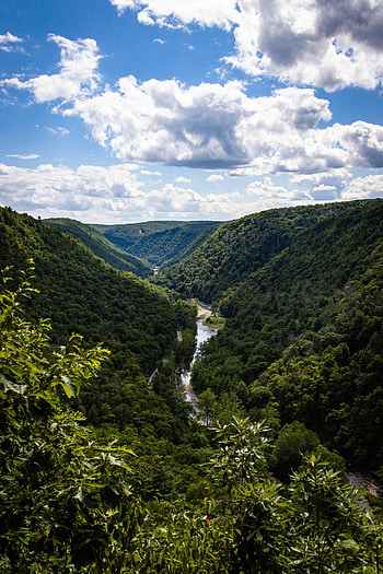 Nature, Rivers, Trees, Bush, Hills, Valley HD phone wallpaper