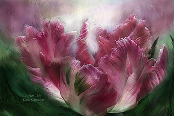 Parrot Tulip, artwork, painting, petals, spring, blossom HD wallpaper