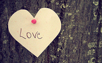 Holidays, Love, Valentine's Day HD wallpaper