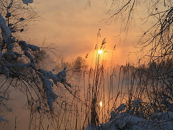 *** Sunset over the winter forest ***, winter, trees, nature, forest, sunset HD wallpaper