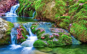 waterfall, Captivating beauty, -perfect view, Scenic wonders HD wallpaper