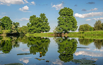 Summer River, trees, river, reflection, calm HD wallpaper