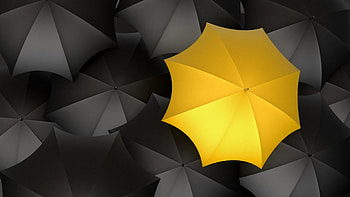 BLACK AND YELLOW, UMBRELLA, RAIN, YELLOW, BLACK HD wallpaper