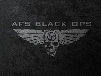 AFS Black Ops, skull, tabula rasa, afs, gamer HD wallpaper