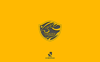 Vegalta Sendai, yellow background, Japanese football team, Vegalta Sendai emblem, J2 League, Japan, football, Vegalta Sendai logo HD wallpaper
