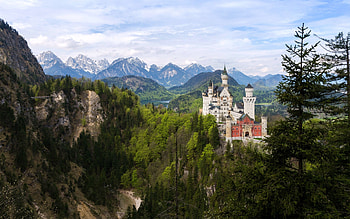 Neuschwanstein Castle, Germany, medieval, germany, castle, forest HD wallpaper