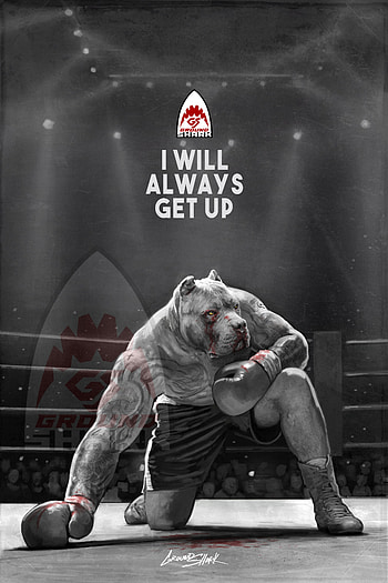 Boxing, mma, boxinglife, sports, athlete, kickbox, box, training, arena, fighting, ufc, pitbull, gym, dog, sport, fight, kick box, kickboxing HD phone wallpaper