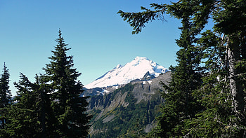 Mount Baker, summer, washington, trees, sky, rock, mountain HD wallpaper