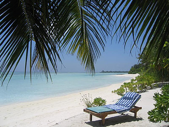 Lounging on the Beach, sand, ocean, tree, beach HD wallpaper