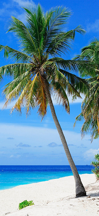 Mauritius Island, Captivating scenes, Instagram-worthy, -perfect HD phone wallpaper