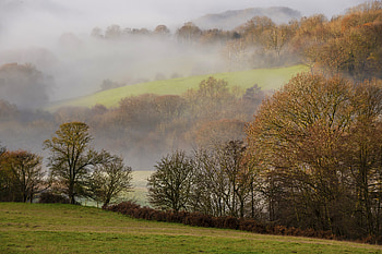 Landscape, Nature, Trees, Fog, Hills HD wallpaper