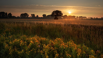 Morning Sunrise, Nature, sky, Sunrise, Morning HD wallpaper