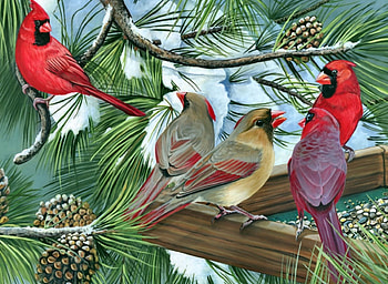 Cardinal Gathering F1, animal, bird, art, beautiful, avian, artwork, Cardinal, wide screen, wildlife, painting HD wallpaper
