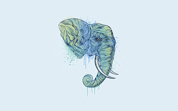 Art, Minimalism, Head, Elephant, Trunk, Abstractly, Notionally HD wallpaper