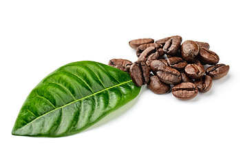 Objects, Coffee HD wallpaper