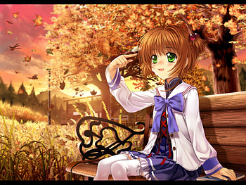 Cardcaptor Sakura, Anime HD wallpaper